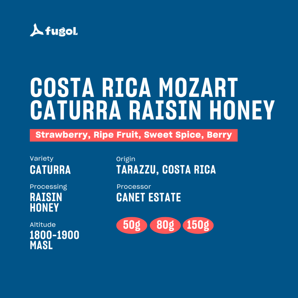 

Costa Rica Mozart Caturra Raisin Honey Specialty Arabica Coffee