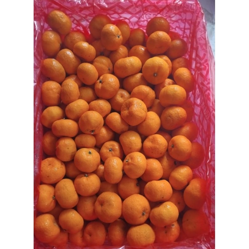 

Indukbuah Buah Jeruk Santang 1 Keranjang