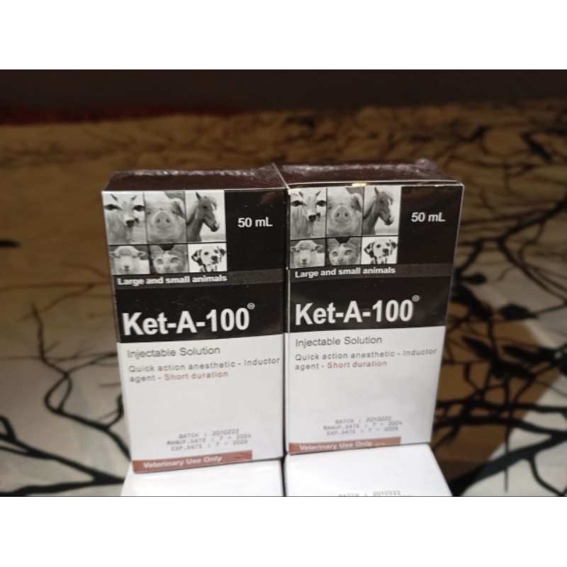 Ket-A-100 obat hewan anjing, kucing, dll