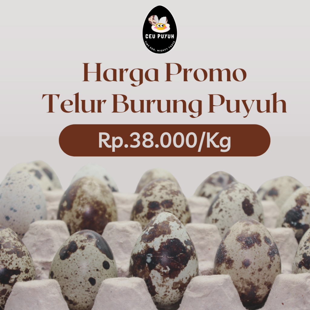 

Telur Puyuh Organik Fresh