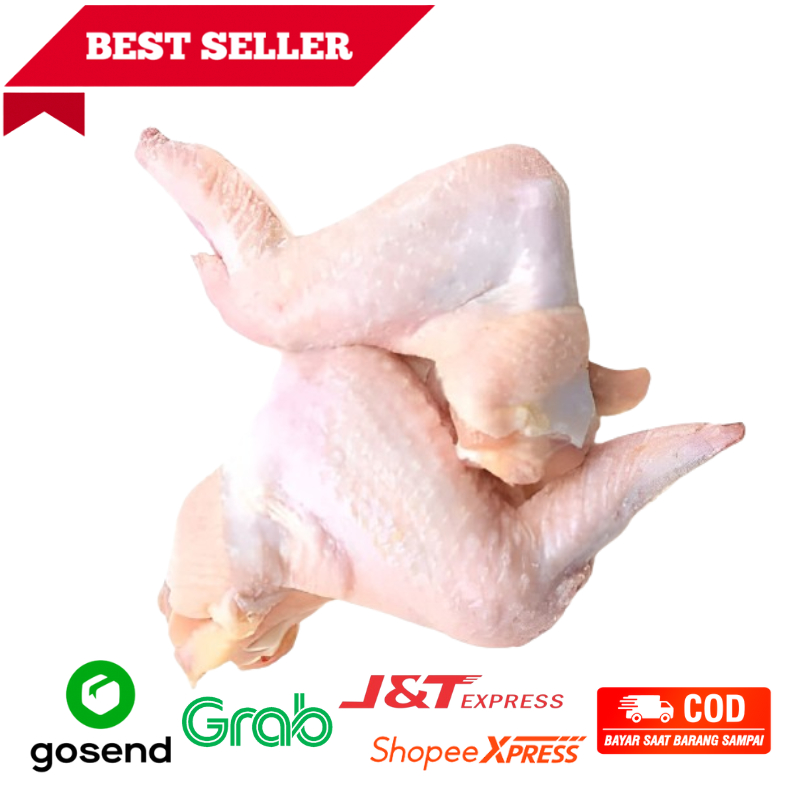 

Sayam Ayam Boiler 500gr Fresh Sehat