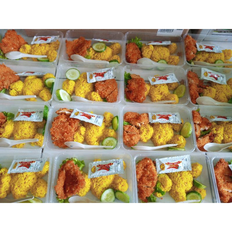 

Nasi kuning chicken katsu