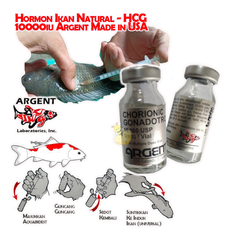 Hormon Ikan Natural - HCG 10000iu Argent Made in USA