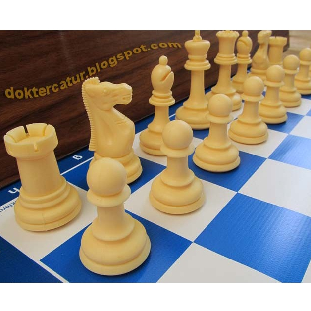 CATUR PLASTIK IMPOR ++ ( buah catur saja)