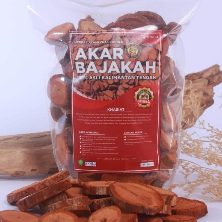 

Akar Bajakah 1kg Kalalawit Merah Asli Kalimantan