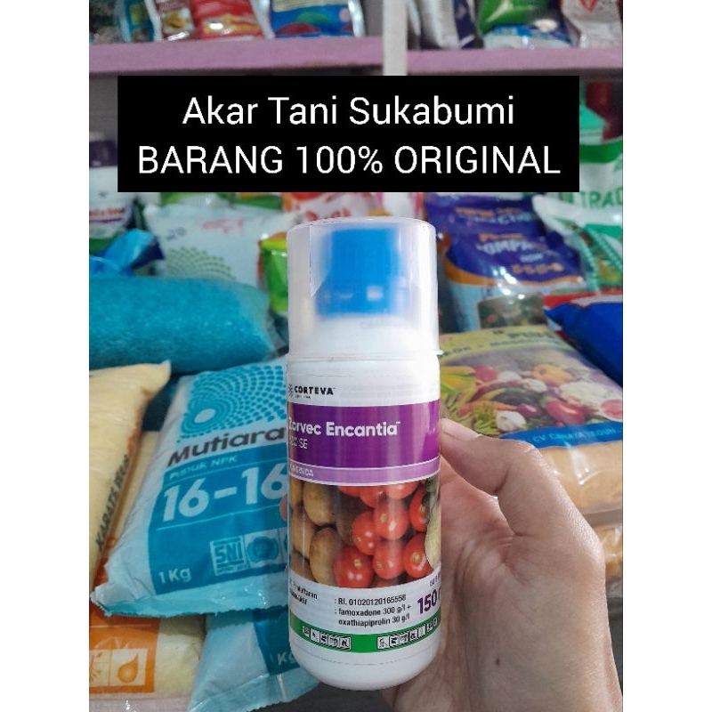 ZORVEC ENCANTIA 150ML