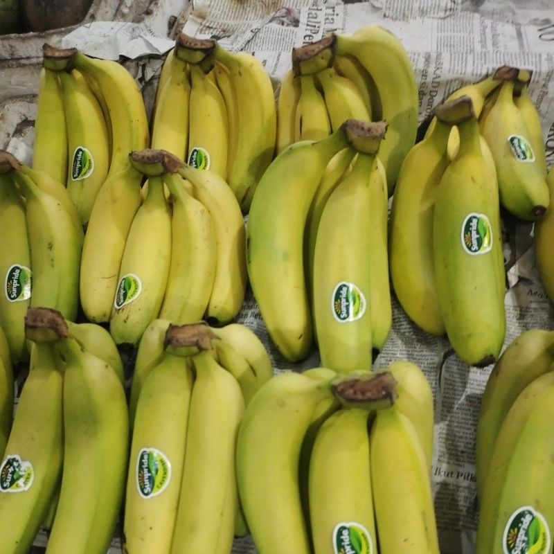 

Pisang cavendis inpor