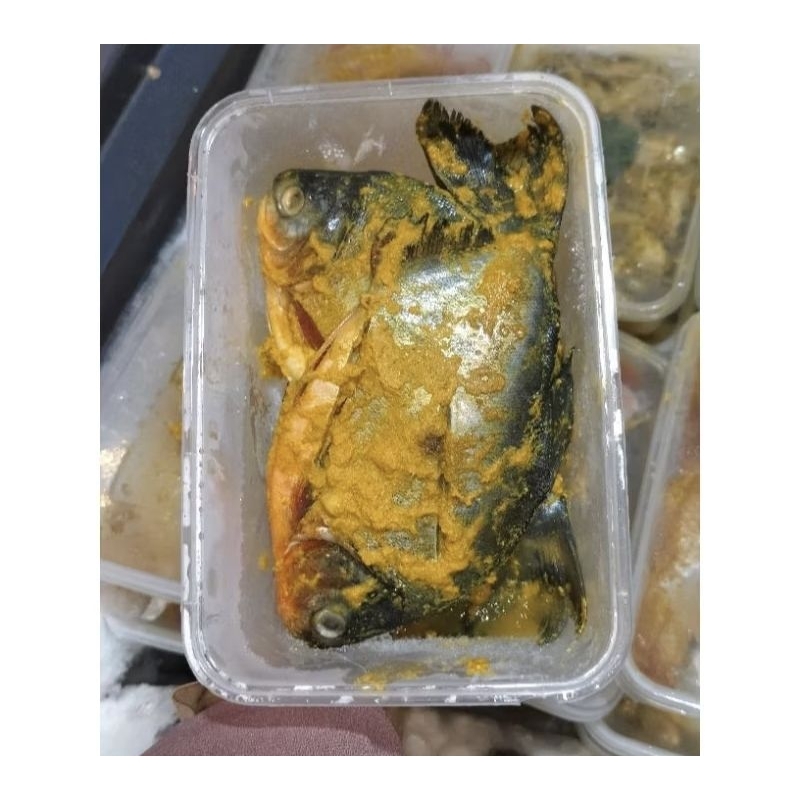 

ikan bawal frozen berbumbu 500gr