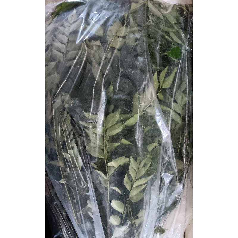 

daun kari segar 500gr