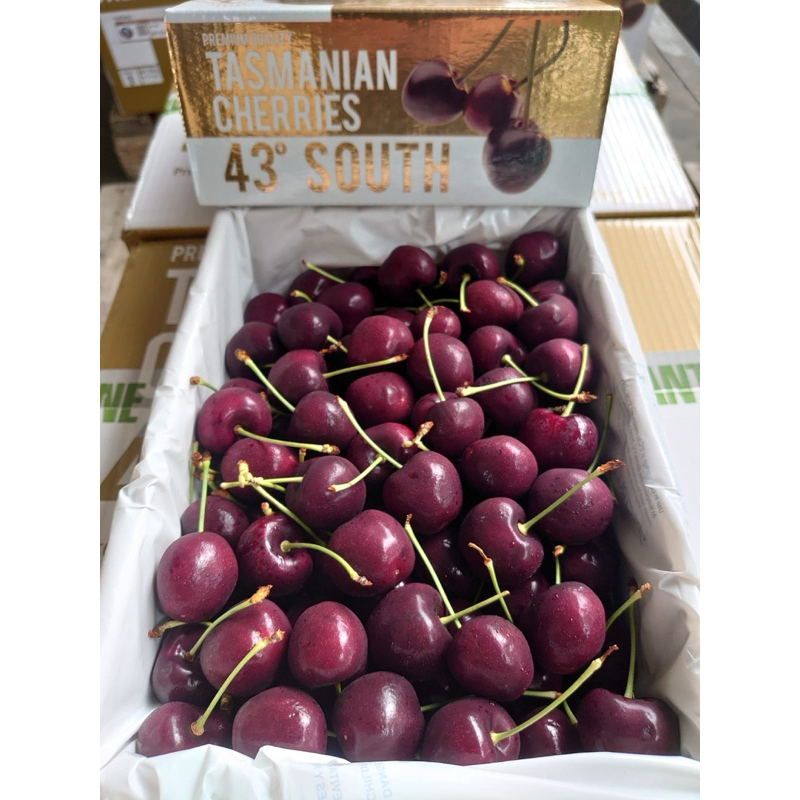 

1 Box Tasmanian cherry australian ceri hampers imlek fresh cherry 1 karton CNY 1 dos 2kg buah ceri size 32
