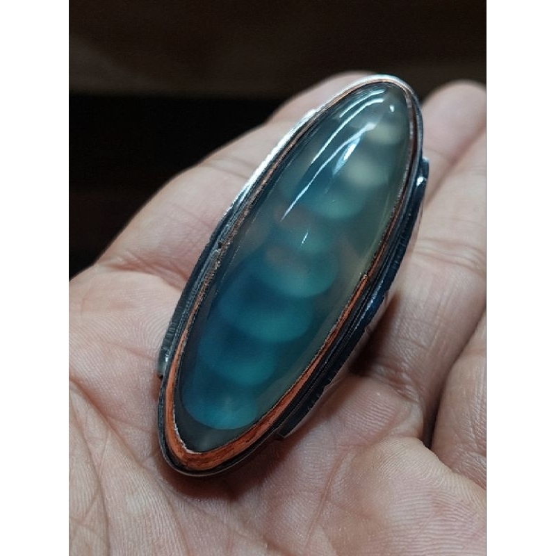 Pandan biru sisik arwana /pandan biru sisik betok