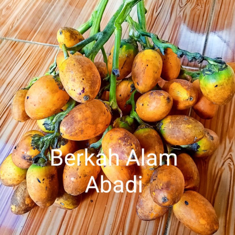 

Buah pinang/Jambe tua