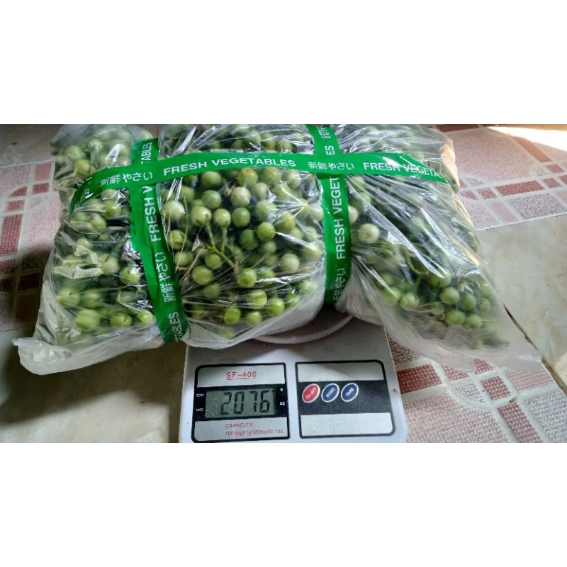 

cepokak pokak takokak segar baru petik 1kg