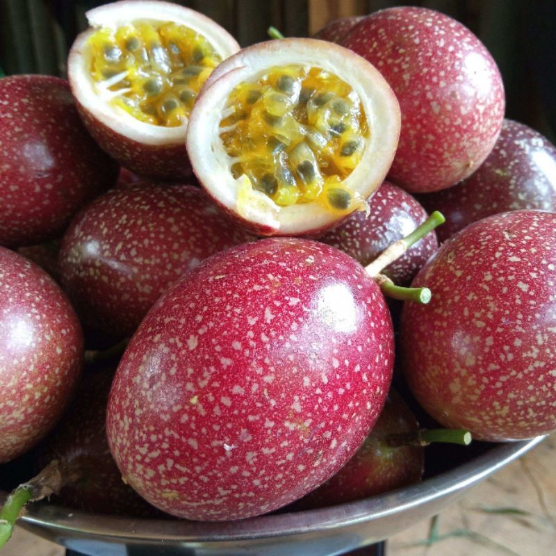 

buah markisa super mix kuning dan merah per 1kg