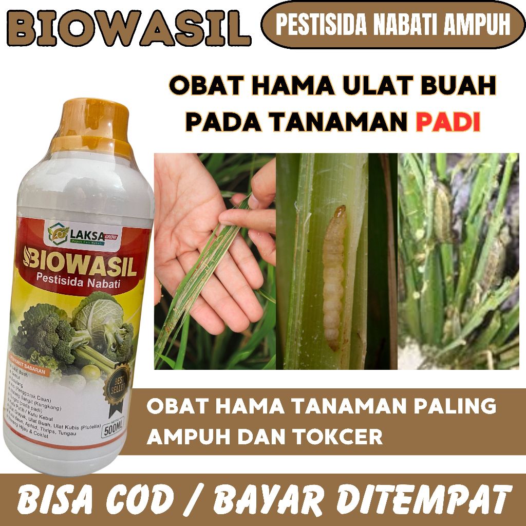 Obat Hama Ulat Buah Pada Padi Biowasil 500 Ml Pestisida Pembasmi Hama Ulat Pada Tanaman Padi