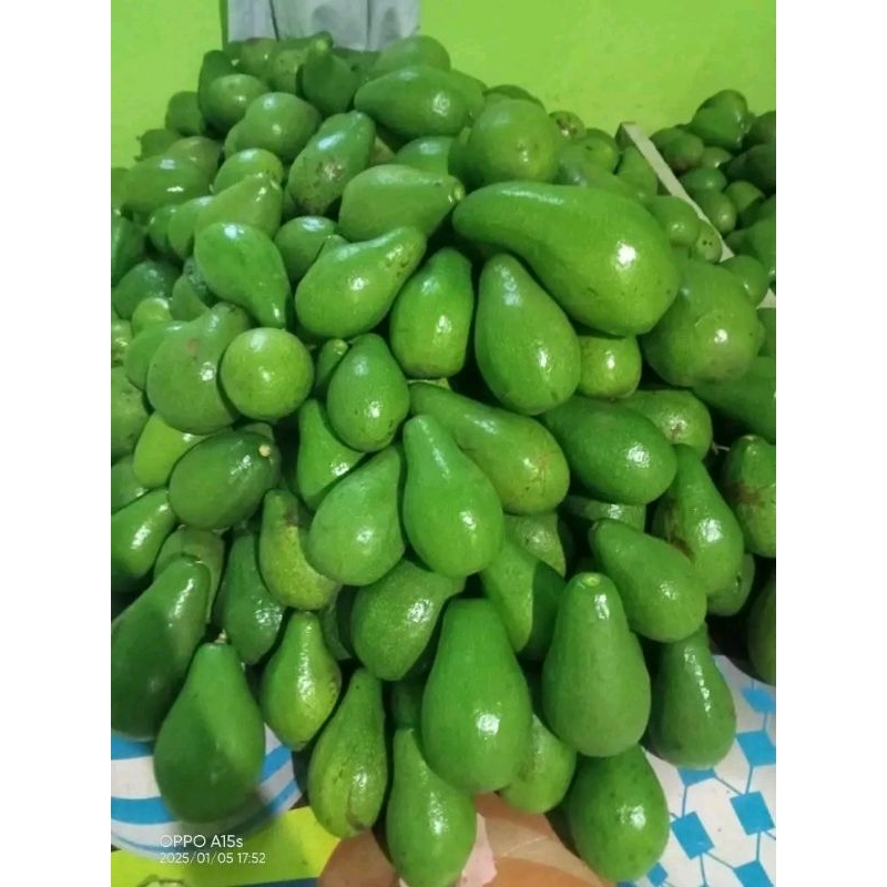 

alpukat mentega SUPER isi 2/3 perkg