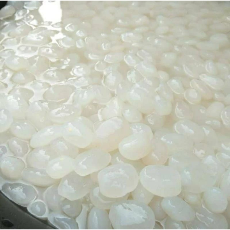 

kolang kaling segar kolang kaling super bahan manisan terbaik kolang kaling 1kg bersih