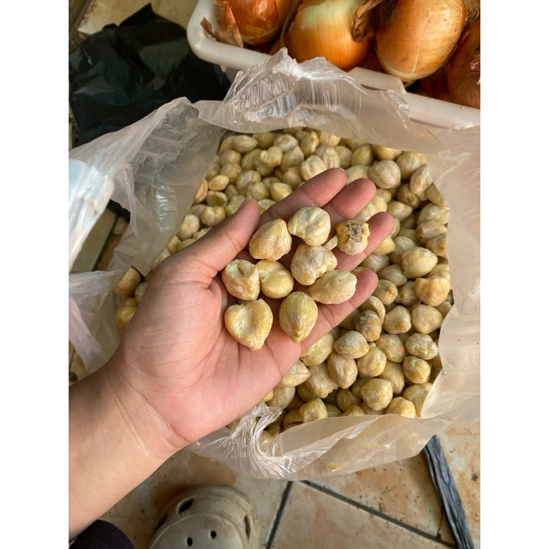 

kemiri