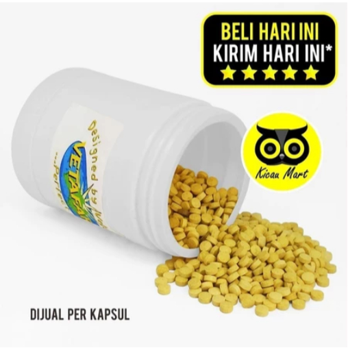 LIVERTONIC VETAFARM OBAT PENETRAL BURUNG KAPSUL BUTIR PIL VITAMIN HATI DETOX RACUN MERPATI BALAP