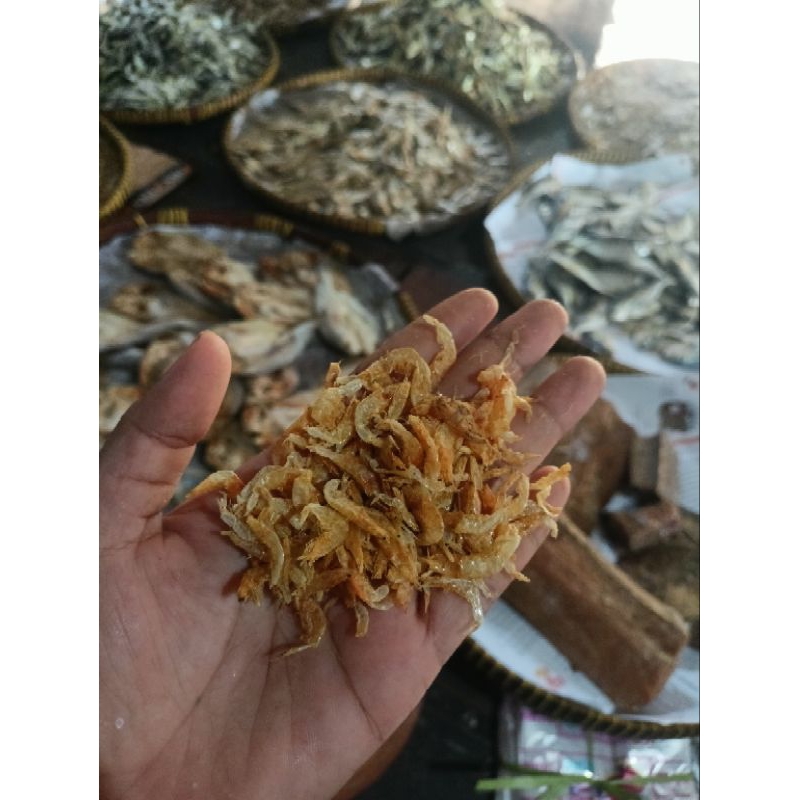 

IKAN ASIN GERMUT / UDANG KERING / EBI