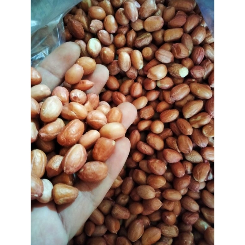 

kacang tanah 100g, miri kacang, kacang tanah premium