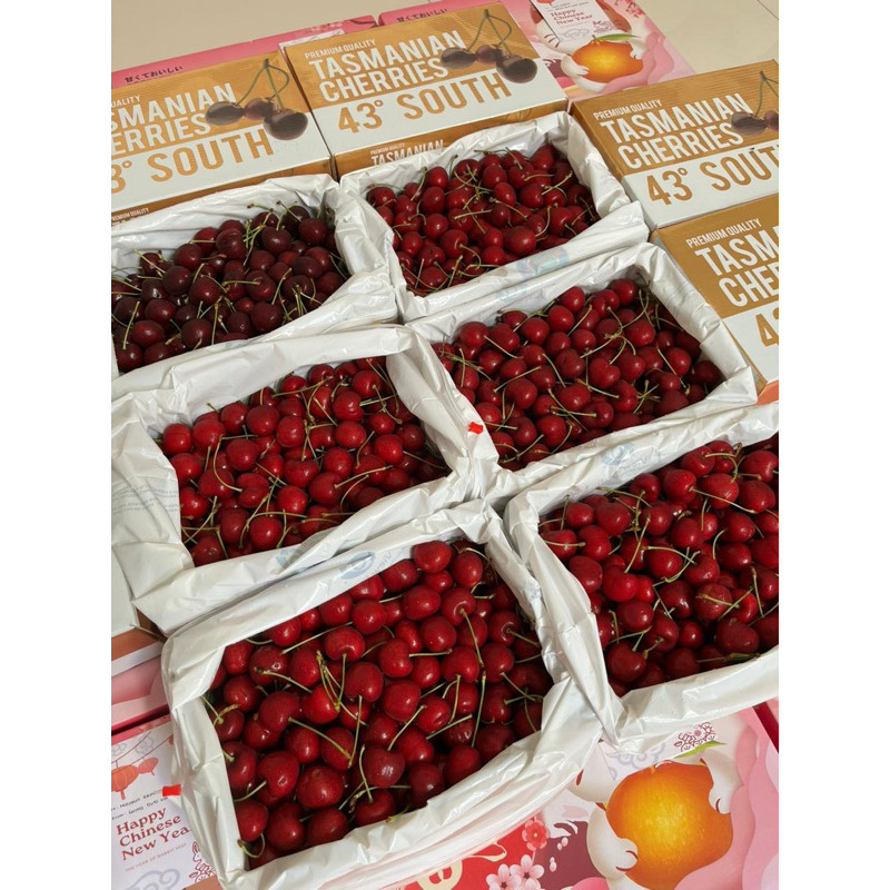 

cherry tasmanian imlek cny 2 kg surabaya sidoarjoe