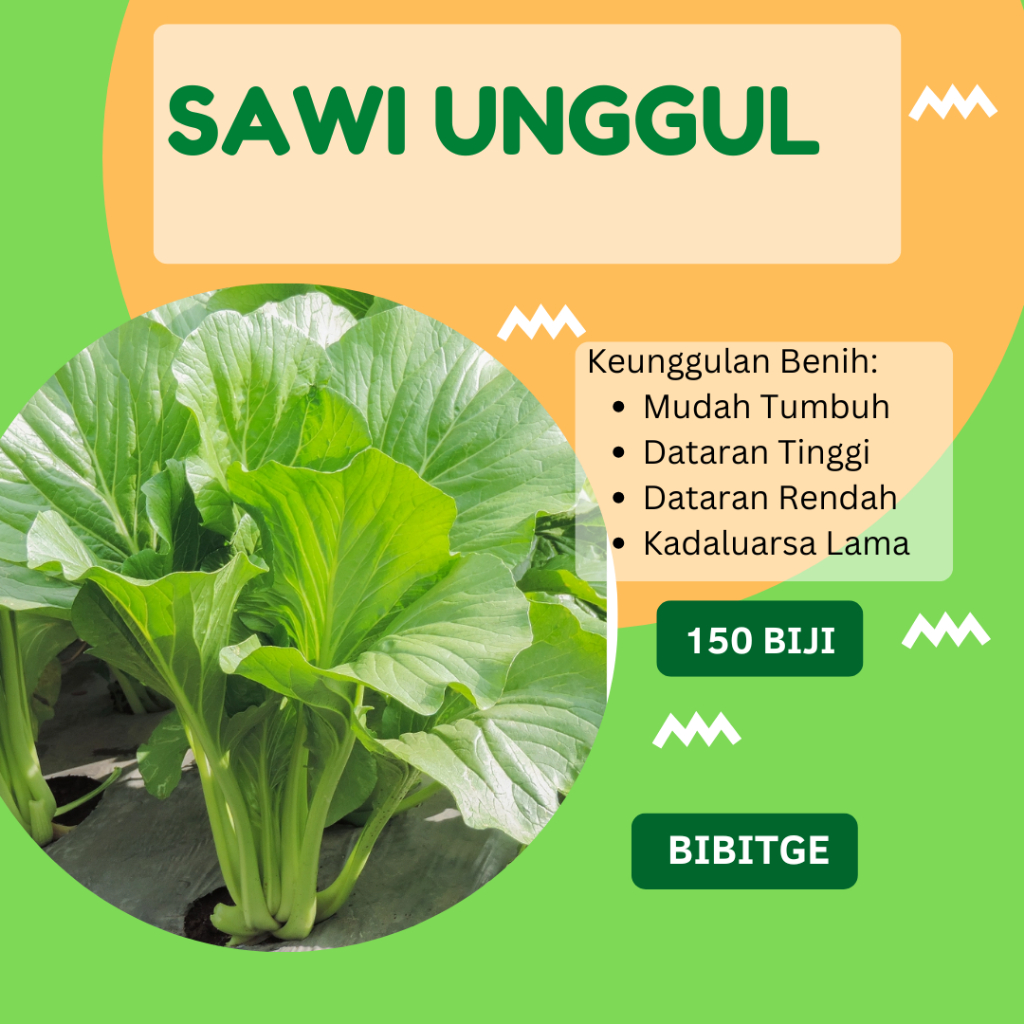 Benih SAWI HIJAU UNGGUL Bibit Sawi Manis