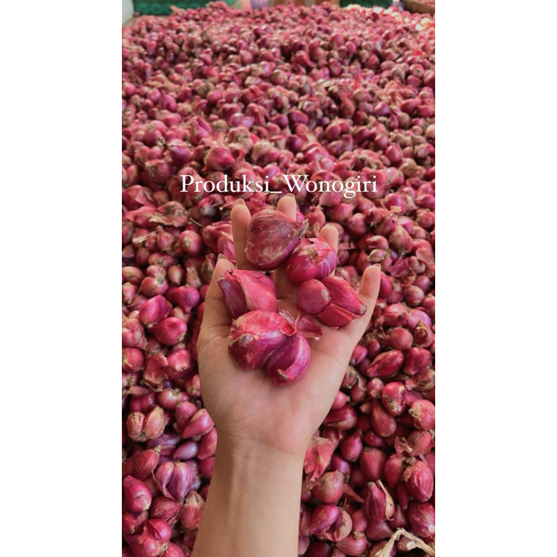 

BAWANG MERAH KERING 1 KG UKURAN KECIL BUMBU DAPUR
