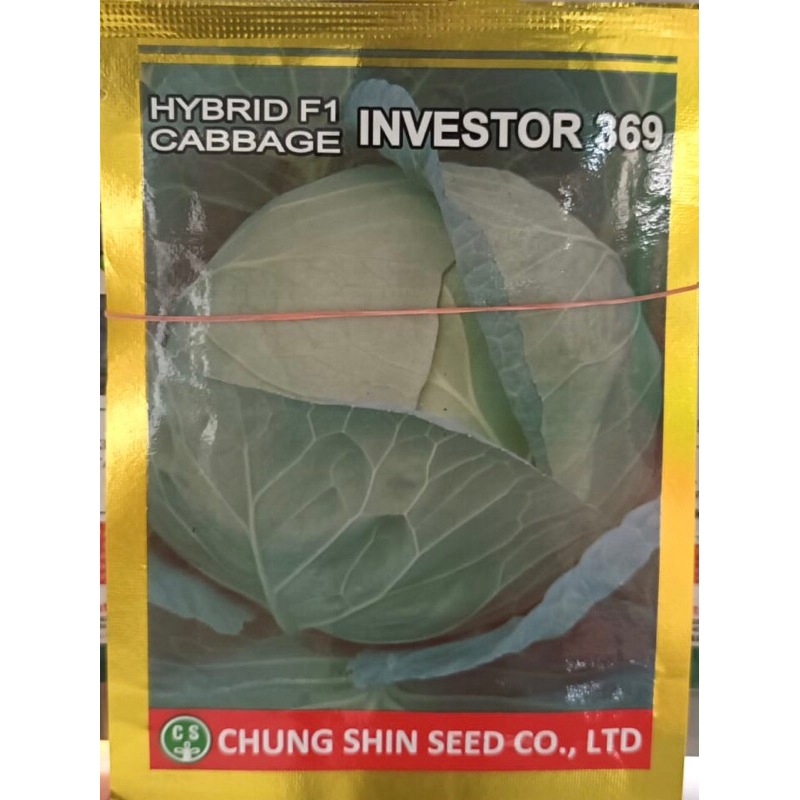 Investor benih kol 369 Cabbage Hybrid F1