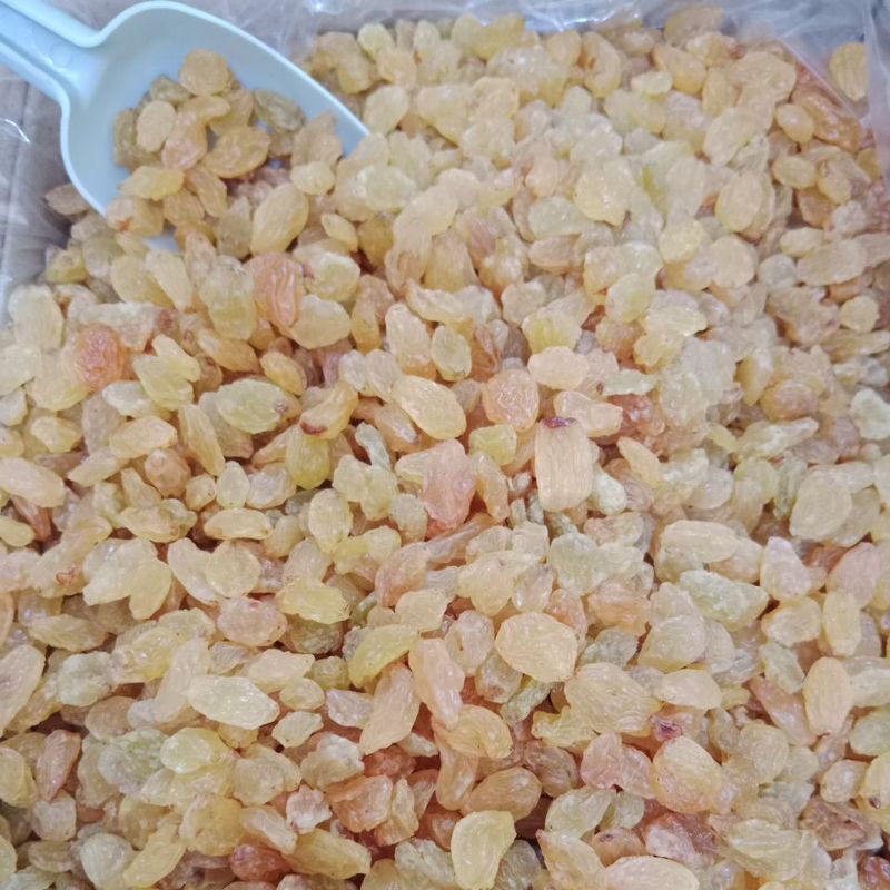 

Kismis manis 1kg/kismis golden king/kismis manis 500gr
