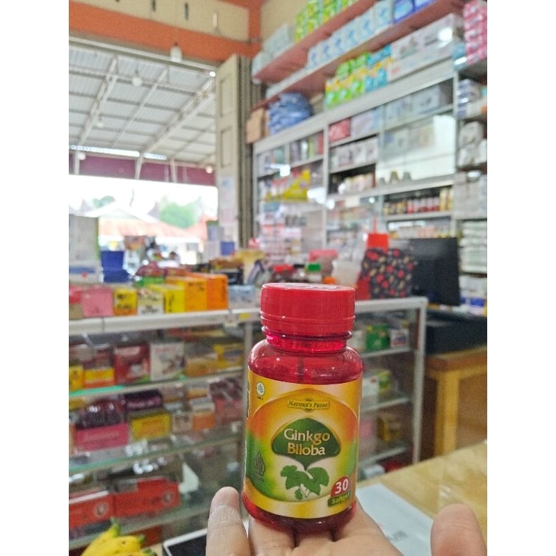 NATURE'S PRIDE GINKGO BILOBA