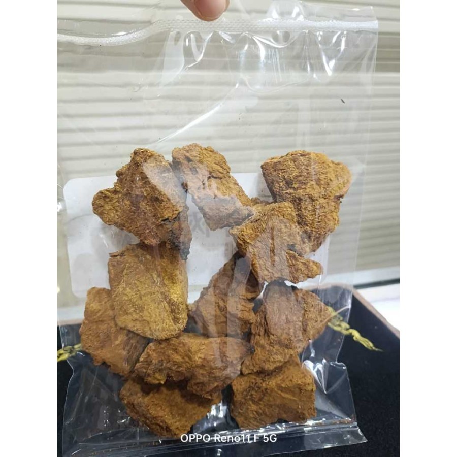 

Hua Shu Rong 桦树茸 herbal kencing manis