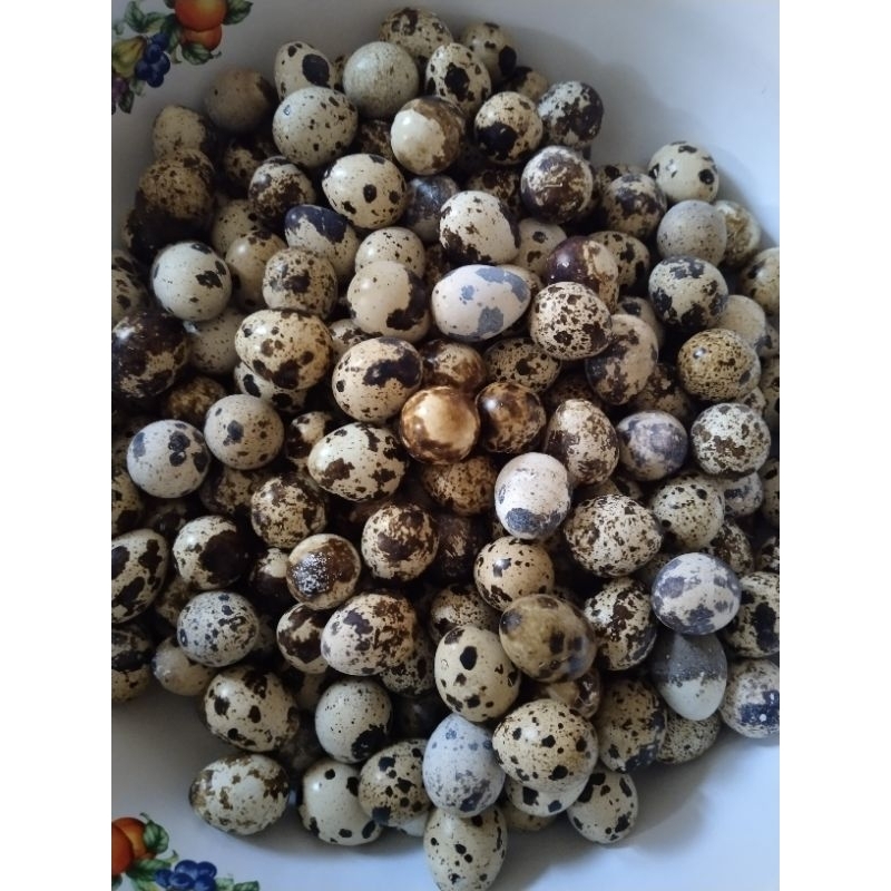 

telur puyuh 20 butir