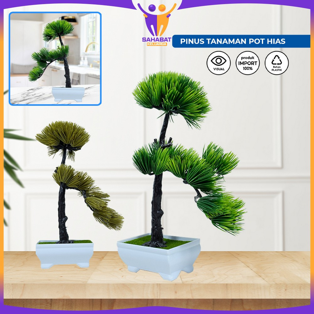 Ornamen Tanaman Pinus Plastik Dekorasi Rumah / Tanaman Buatan Artifisial Plant Decoration / Tanaman 