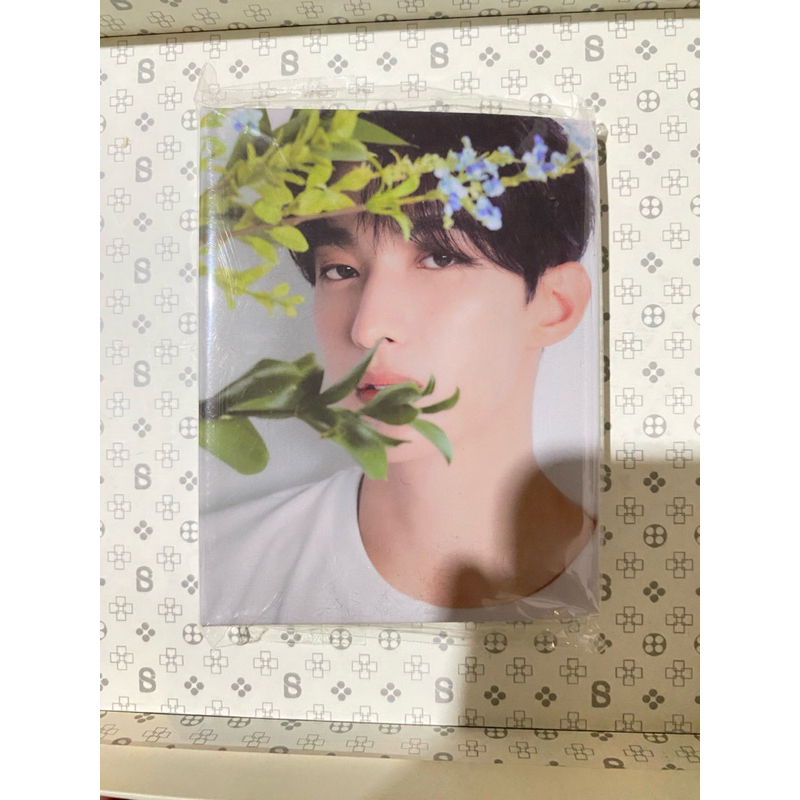 BINDER BOOKLET IS RIGHT HERE MINGYU DAN DK DEAR VER