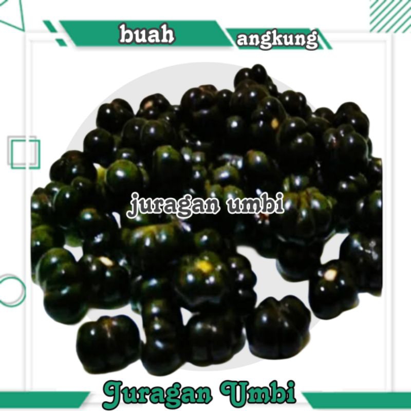 

biji buah angkung segar 200 biji