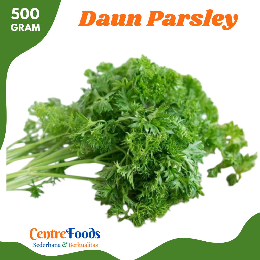 

DAUN Parsley - Peterseli Leaf Fresh | 500gr [ Harga Per 0,5 Kg ]