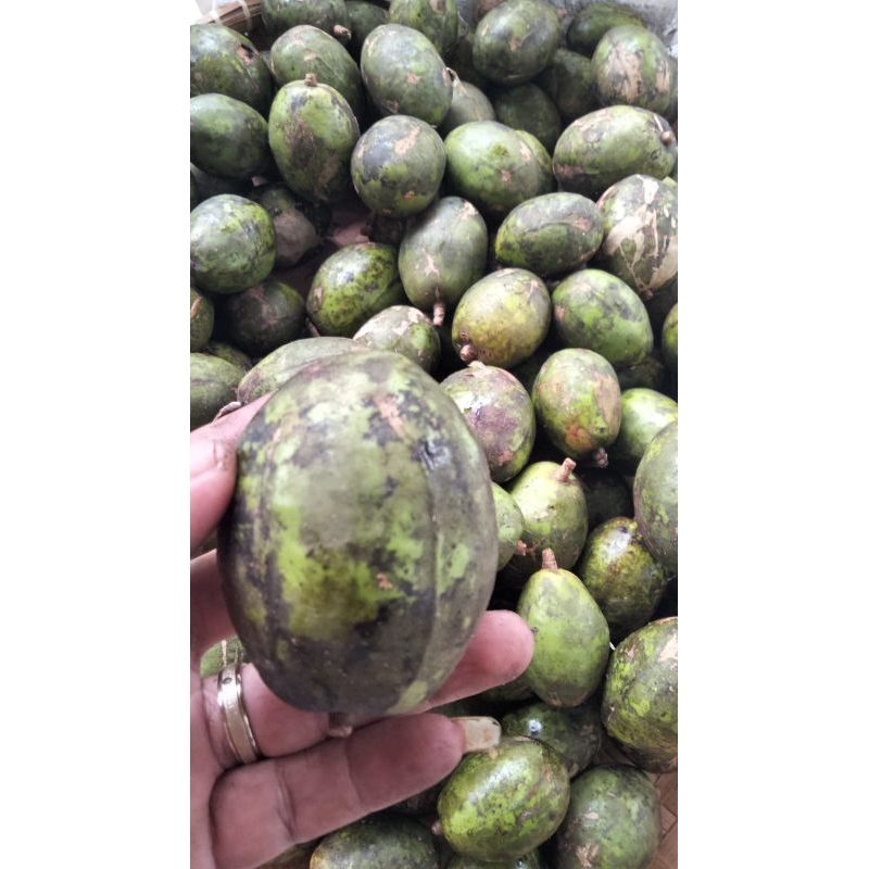 

Buah kedongdong asli 1 kg fress diperik ketika order masuk