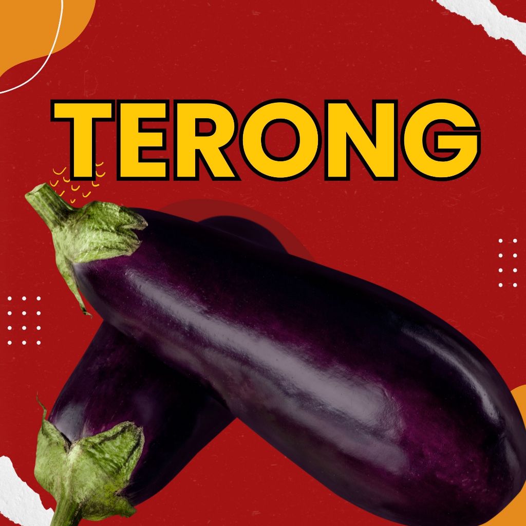 

TERONG UNGU - 500 Gram