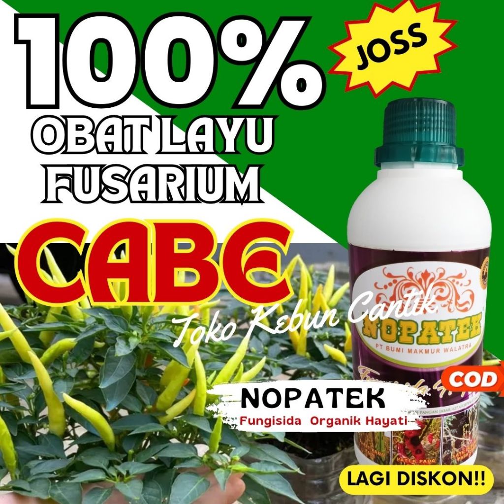 NOPATEK Obat Layu Fusarium Cabai 500ML – Fungisida Hayati Organik Cabai, Solusi Layu Fusarium Cabai,