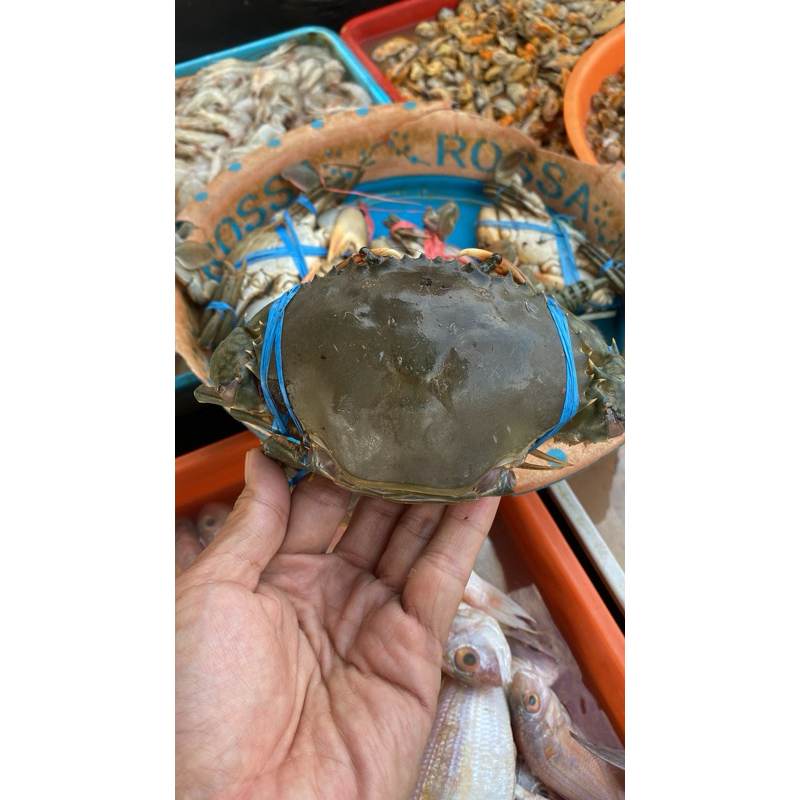 

Kepiting Fresh Frozen 500gram