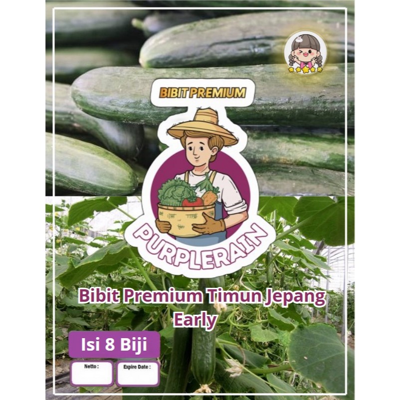 Bibit Premium Timun Jepang Early Spring Burpless |Benih Timun Jepang|Ketimun