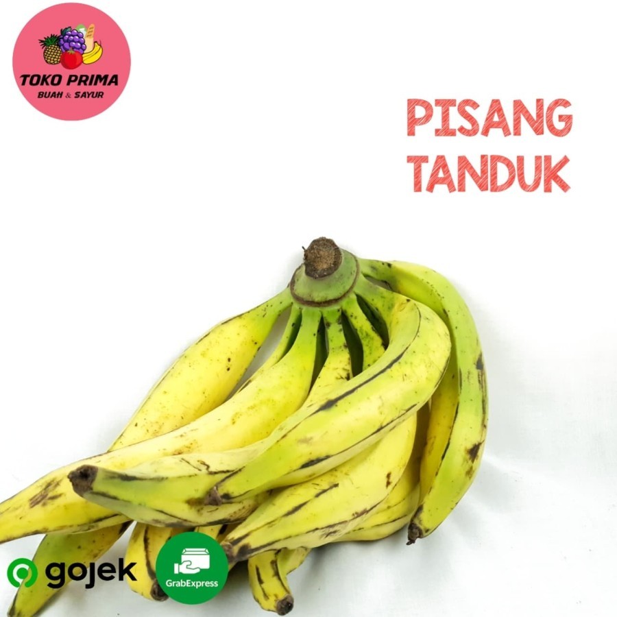 

Buah Pisang Tanduk Super Per Pcs