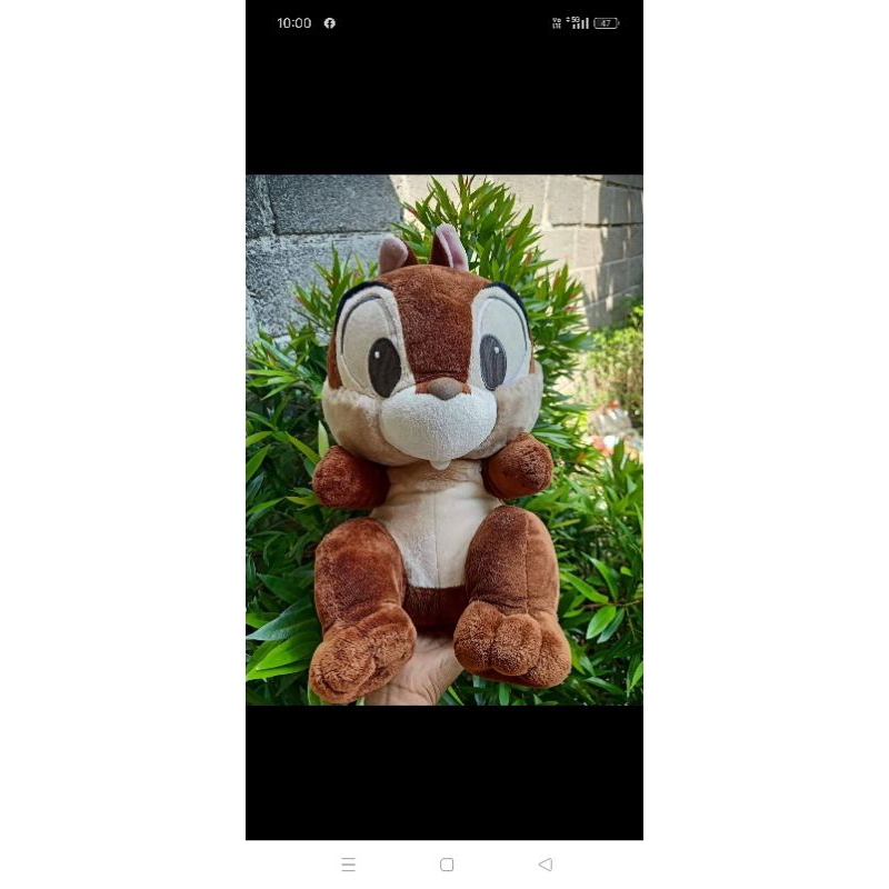 Tupai  Disney Besar Original