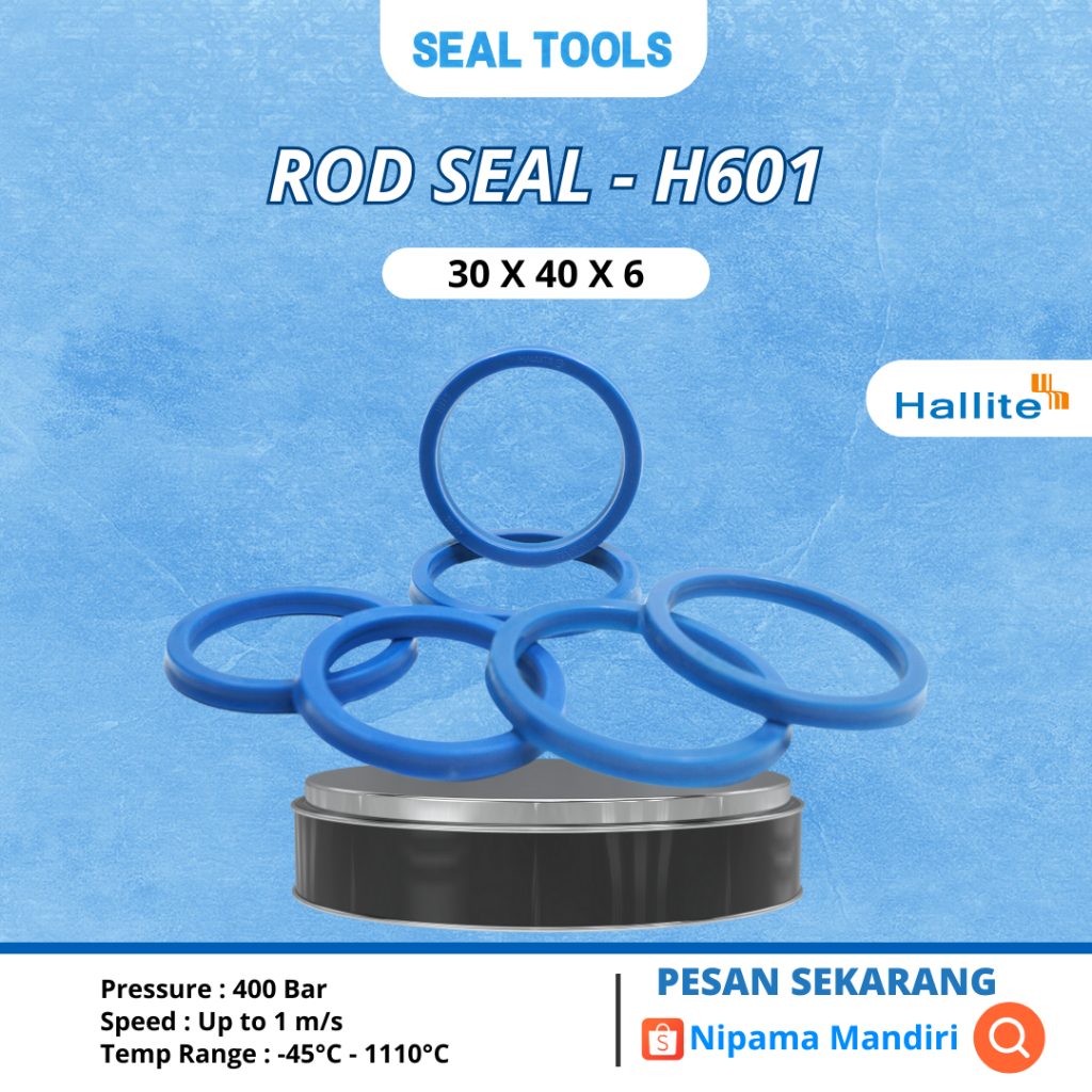 ROD SEAL H601 30 X 40 X 6