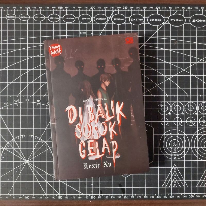 PRELOVED BOOK - Novel Dark Series 4: Di Balik Sosok Gelap - Lexie Xu
