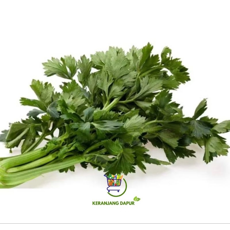 

Daun seledri/ sledri 100 gram