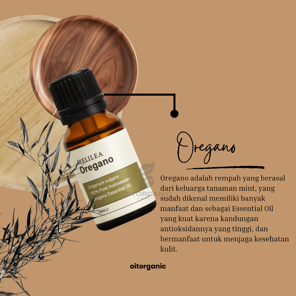 Essential Oil OREGANO