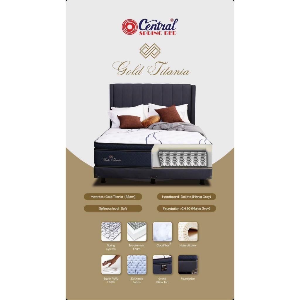 Central Spring Bed Gold Titania (35cm)