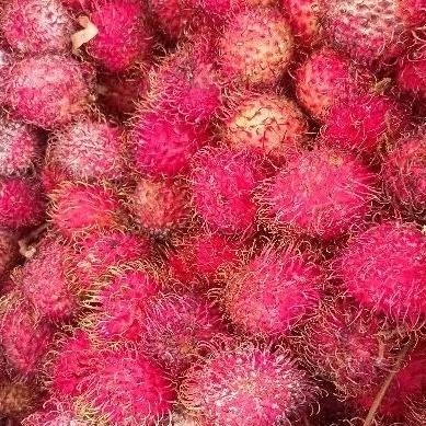 

Rambutan Binjai binjay